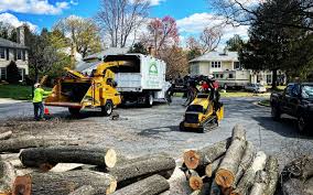 Best Firewood Processing and Delivery  in Bluffdale, UT